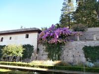 Gärten des Generalife