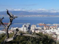 Gibraltar
