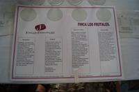 die Weine von Joaquín Fernández