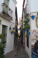 Im Innern des Kathedralturms befindet sich das alte Minarett