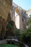 Puente Nuevo und Entengrütze im Mühlteich