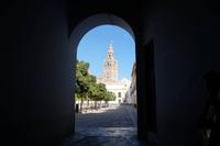 Sevilla berühmtester Blick