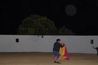 So ein Kampfstier hat ein Gewicht von 500 kg