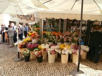 Cadiz-am Blumenplatz