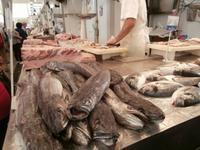 Mercado Central Cadiz