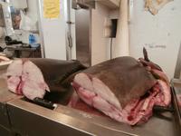 Mercado Central Cadiz