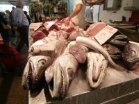 Mercado Central Cadiz