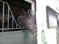 Bodega Real Tesoro Jerez de la Frontera