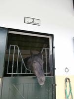 Bodega Real Tesoro Jerez de la Frontera