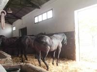 Bodega Real Tesoro Jerez de la Frontera