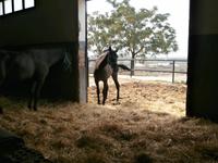 Bodega Real Tesoro Jerez de la Frontera