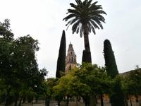 Cordoba-Mezquita-Turm
