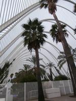 Valencia-Stadt der Wissenschaft Botanischer Garten