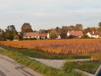 Fahrt durch Weinanbaugebiet nach Dijon