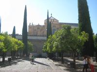 Cordoba3