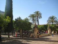 Cordoba4