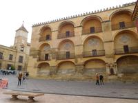 Córdoba6