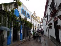 Córdoba17
