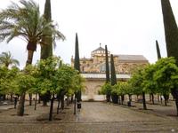 Córdoba19