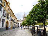 Sevilla25