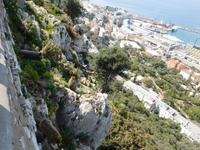 Gibraltar25