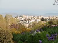 Blick von Alhambra Granada 