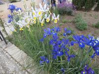 Alhambra Granada Generalife