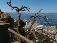 Gibraltar Blick auf Strasse von Gibraltar