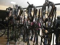 Bodega Jerez de la Frontera Real Tesoro-Zaumzeug