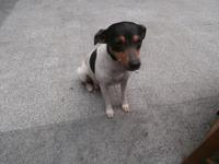 Bodega Jerez de la Frontera Real Tesoro-mein Freund