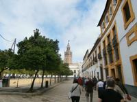 Sevilla Blick zur Kathedrale