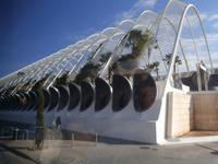 Valencia Stadt der Künste und Wissenschaft