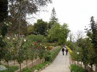 118 Granada La Alhambra Garten
