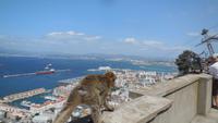 Gibraltar24