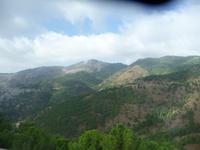 auf dem Weg von Ronda nach Marbella