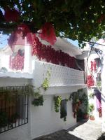 leuchtend rote Chillischoten an den weißgetünchten Häuser