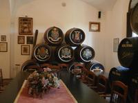 Sherry Bodega in Jerez de la Frontera Real Tesoro