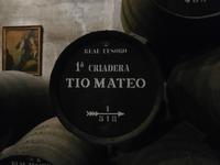 Sherry Bodega in Jerez de la Frontera Real Tesoro