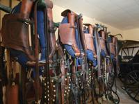 Sherry Bodega in Jerez de la Frontera Real Tesoro