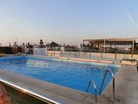 Sevilla Pool im Hotel Don Paco