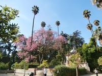 Sevilla Real Alcazar