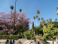 Sevilla Real Alcazar
