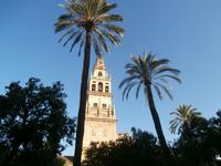 Cordoba Mezquita