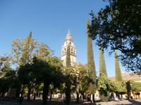 Cordoba Mezquita