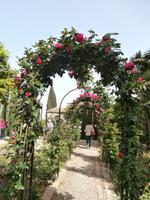 Alhambra Granada Gärten Generalife