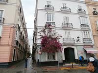 Cadiz Plaza De San Antonio