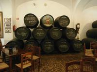 Jerez de la Frontera - Bodega Real Tesoro