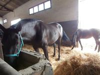 Jerez de la Frontera - Bodega Real Tesoro