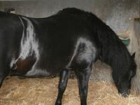 Jerez de la Frontera - Bodega Real Tesoro
