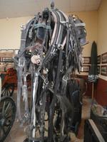 Jerez de la Frontera - Bodega Real Tesoro